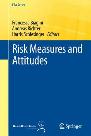 Kniha Risk Measures and Attitudes Francesca Biagini