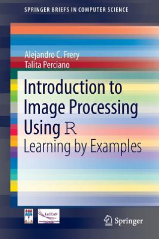 Kniha Introduction to Image Processing Using R Alejandro C Frery