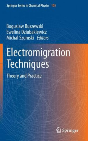 Könyv Electromigration Techniques Boguslaw Buszewski