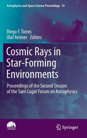 Könyv Cosmic Rays in Star-Forming Environments Diego F Torres