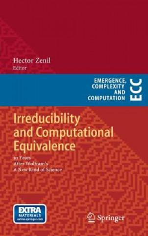 Książka Irreducibility and Computational Equivalence Hector Zenil