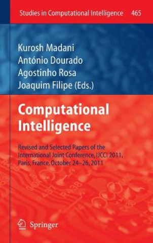 Книга Computational Intelligence Kurosh Madani