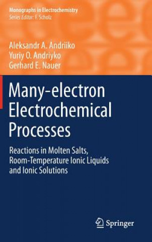 Książka Many-electron Electrochemical Processes Aleksandr A Andriiko