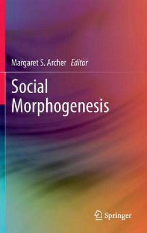 Carte Social Morphogenesis Margaret S Archer
