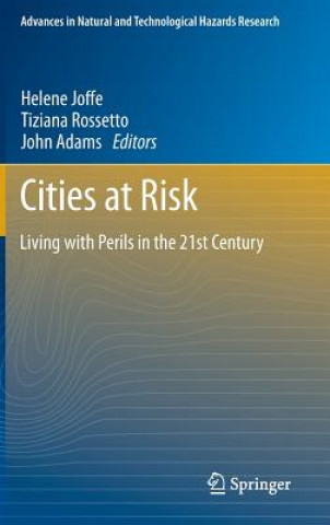 Könyv Cities at Risk Tiziana Rossetto