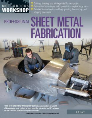 Kniha Professional Sheet Metal Fabrication Ed Barr