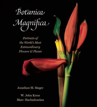 Kniha Botanica Magnifica: Portraits of the World's Most Extraordinary Flowers and Plants Jonathan Singer