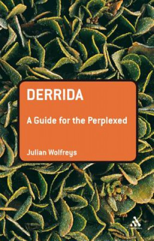 Knjiga Derrida: A Guide for the Perplexed Wolfreys