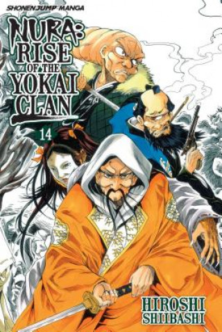 Kniha Nura: Rise of the Yokai Clan, Vol. 14 Hiroshi Shiibashi
