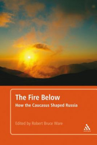 Книга The Fire Below Robert Bruce Ware