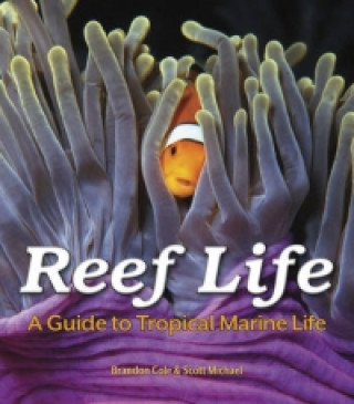 Knjiga Reef Life: A Guide to Tropical Marine Life Brandon Cole