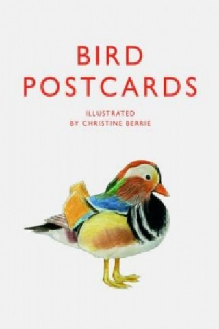 Βιβλίο Bird Postcards Christine Berrie