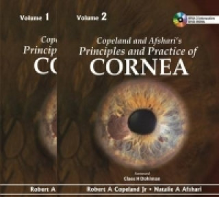 Książka Copeland and Afshari's Principles and Practice of Cornea Jr Robert A Copeland