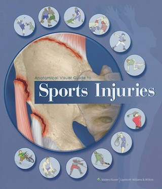 Könyv Anatomical Visual Guide to Sports Injuries Anatomical Chart Company