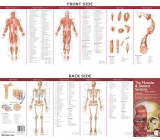 Carte Anatomical Chart Company's Illustrated Pocket Anatomy: The Muscular & Skeletal Systems Study Guide 