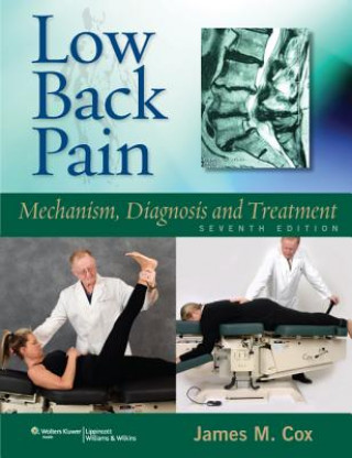 Könyv Low Back Pain James M Cox