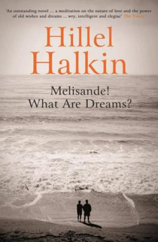 Kniha Melisande! What Are Dreams? Hillel Halkin