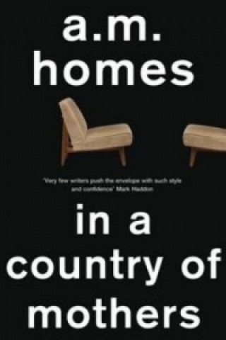 Buch In a Country Of Mothers A M Homes