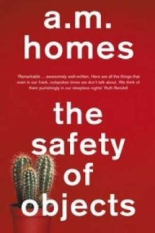 Kniha Safety Of Objects A M Homes