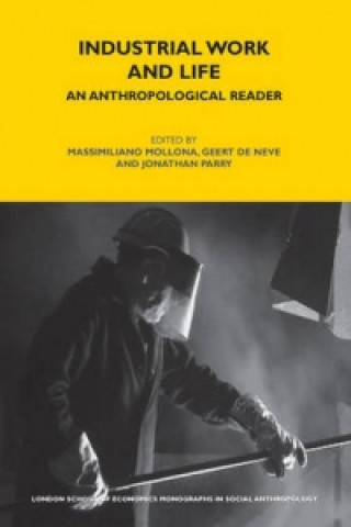 Könyv Industrial Work and Life Massimiliano Mollona