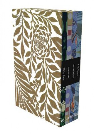 Kniha V&A Pattern: Designers Box-set Karen Livingstone
