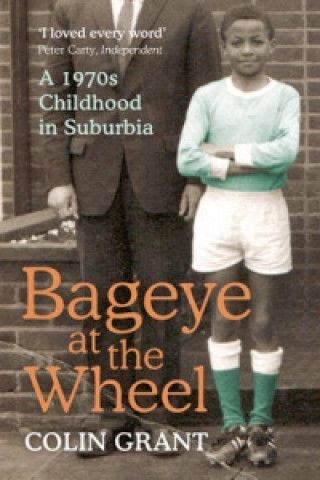 Kniha Bageye at the Wheel Colin Grant