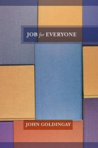 Könyv Job For Everyone John Goldingay