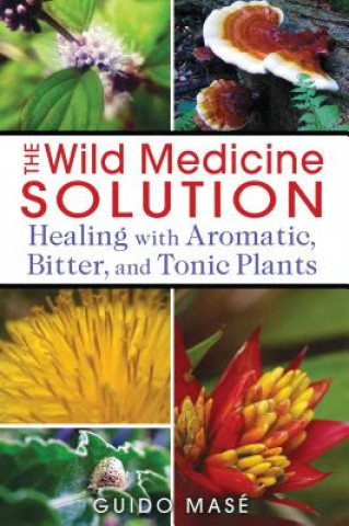 Kniha Wild Medicine Solution Guido Masé