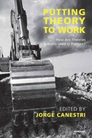 Kniha Putting Theory to Work Jorge Canestri