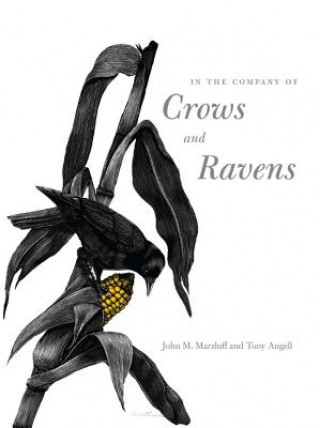 Книга In the Company of Crows and Ravens John M. Marzluff