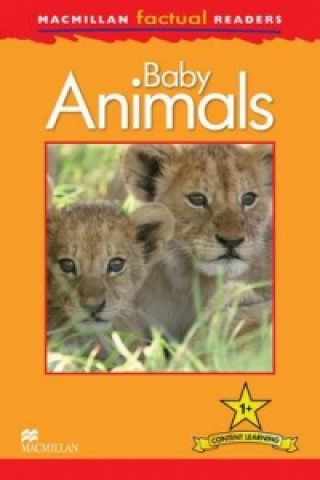 Könyv Mac Fact Read Baby Animals T Feldman