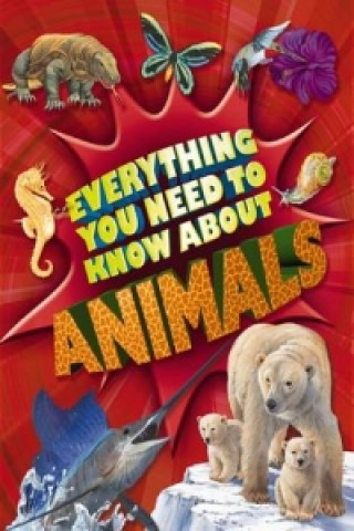 Carte Everything You Need To Know: Animals Nicola Davies