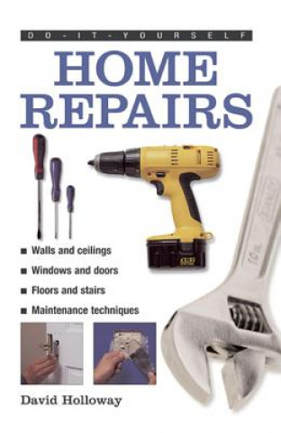 Kniha Do It Yourself Home Repairs David Holloway