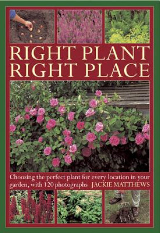 Knjiga Right Plant Right Place Jackie Matthews