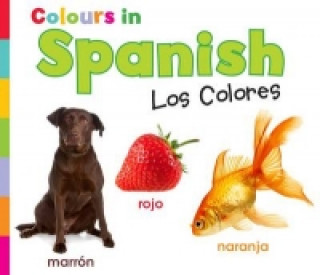 Carte Colours in Spanish Daniel Nunn