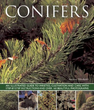 Книга Conifers Andrew Mikolajski