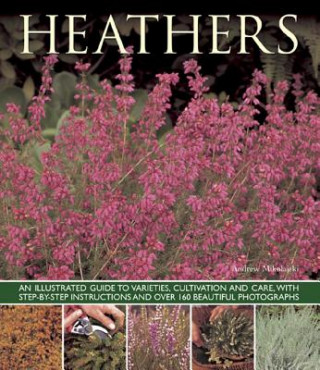 Book Heathers Andrew Mikolajski