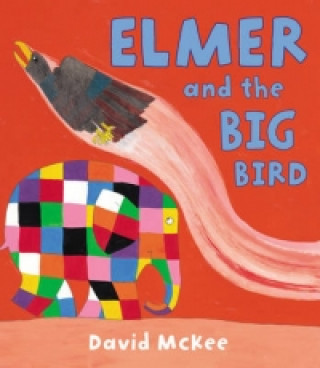 Kniha Elmer and the Big Bird David McKee