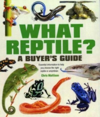 Carte What Reptile? A Buyer's Guide Chris Mattison
