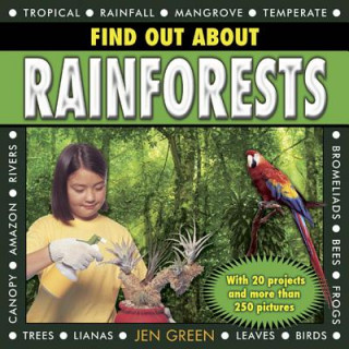 Kniha Find Out About Rainforests Jen Green