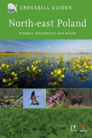 Kniha North-East Poland Dirk Hilbers