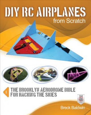 Carte DIY RC Airplanes from Scratch Simon Monk