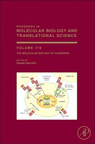 Buch Molecular Biology of Cadherins Frans Van Roy