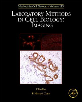 Könyv Laboratory Methods in Cell Biology: Imaging P Michael Conn