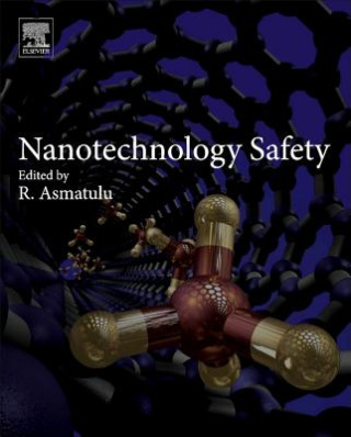 Kniha Nanotechnology Safety R Asmatulu