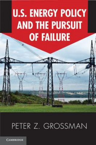 Könyv US Energy Policy and the Pursuit of Failure Peter Z Grossman