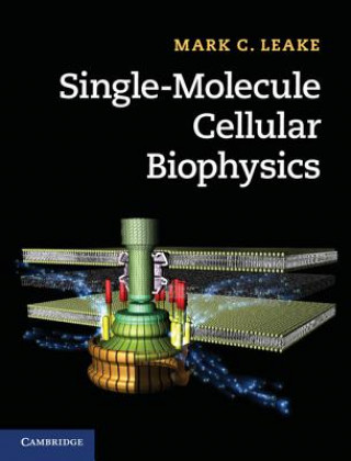 Knjiga Single-Molecule Cellular Biophysics Mark C Leake