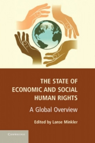 Livre State of Economic and Social Human Rights Lanse Minkler