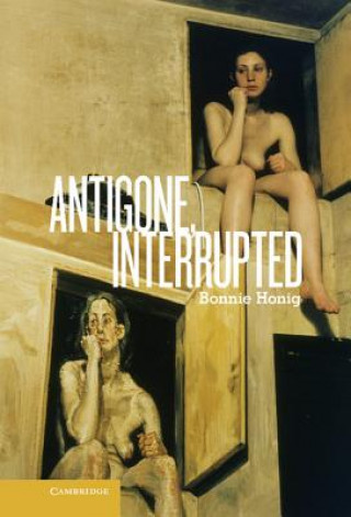 Könyv Antigone, Interrupted Bonnie Honig