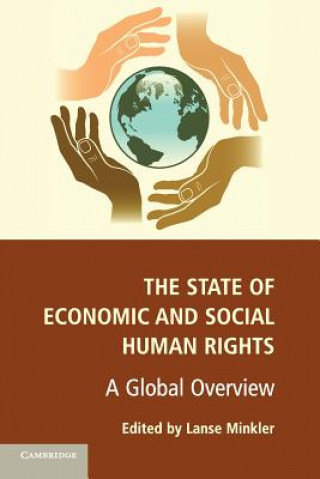 Carte State of Economic and Social Human Rights Lanse Minkler